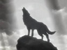 LoneWolf