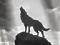 LoneWolf